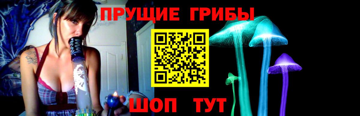 Псилоцибиновые грибы Magic Shrooms  Вход с VPN  Кунгур  Псилоцибиновые грибы Psilocybe 
